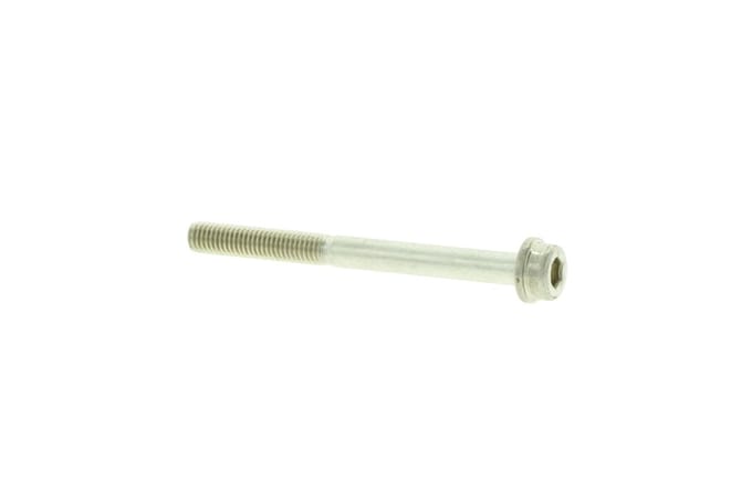 Screw