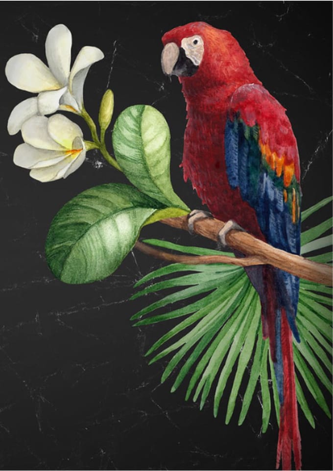 *SALE - Parrot- Mint by Michelle decoupage papier A1
