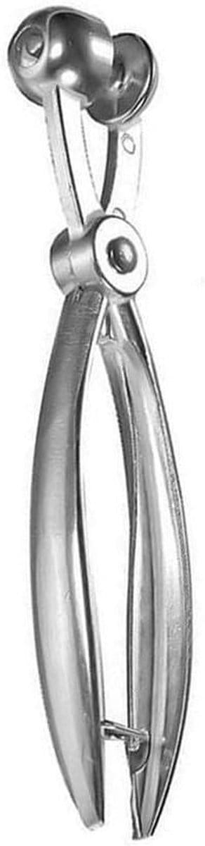 Portable Cherry Pitter - RVS tool voor het verwijderen van fruitpitten en maken van jam - handig keukenhulpmiddel