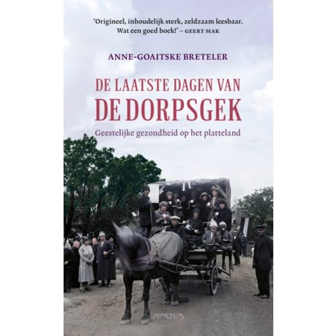 De Laatste Dagen Van De Dorpsgek - Anne-Goaitske Breteler