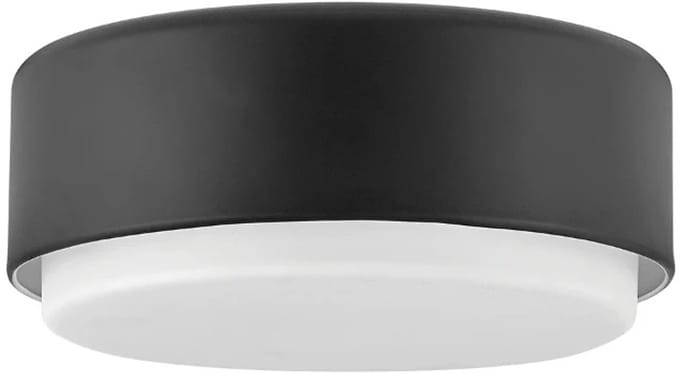 Hinkley LED Plafondlamp Cedric | 2X E27 Max 40W | Black