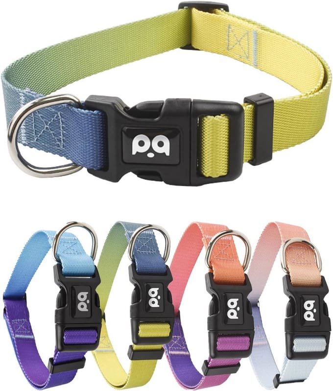 Verstelbare nylon hondenhalsband met gradiëntontwerp voor kleine honden