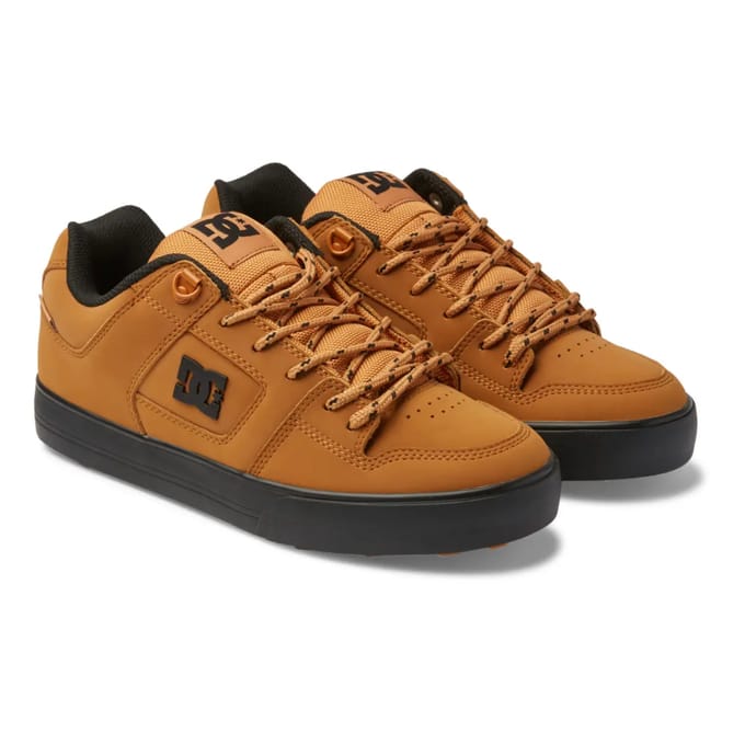Trainers DC Shoes Pure Wnt