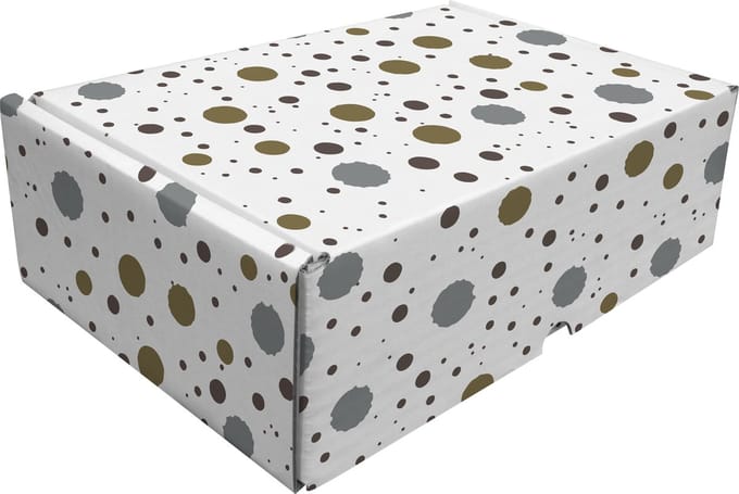 Raadhuis verzenddoos - spetter dessin - 24x17x8cm - 5 stuks