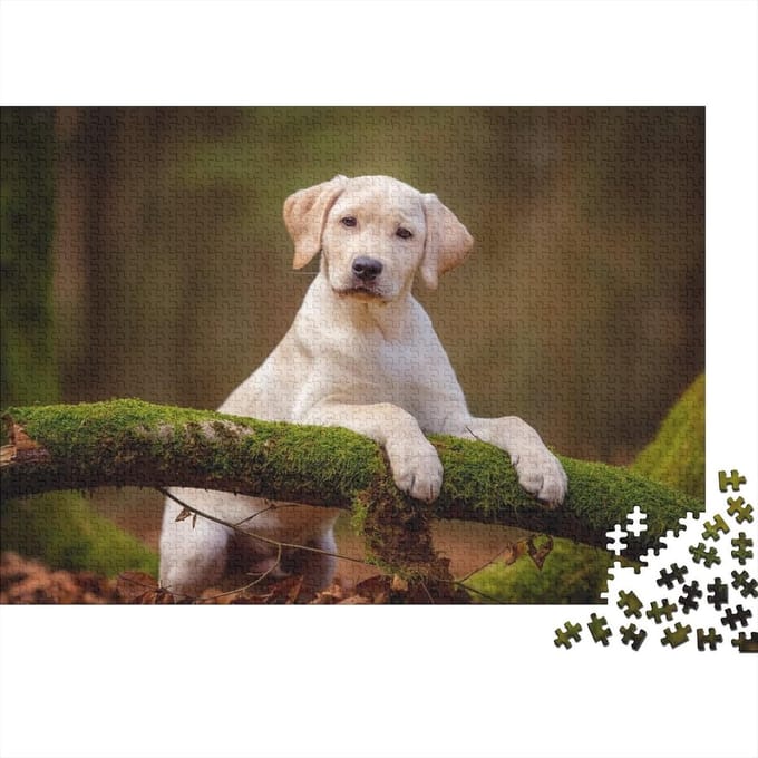 Gepersonaliseerde Puzzel - Foto Puzzel - Ontspanning Thuis - Hoge Kwaliteit Karton - 75 x 50 cm