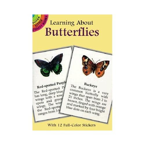 Learning About Butterflies - Jan Sovak
