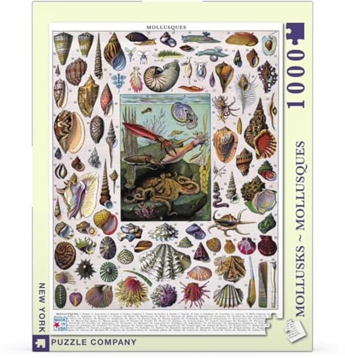 Mollusken Puzzel - Puzzelen met Zeedieren