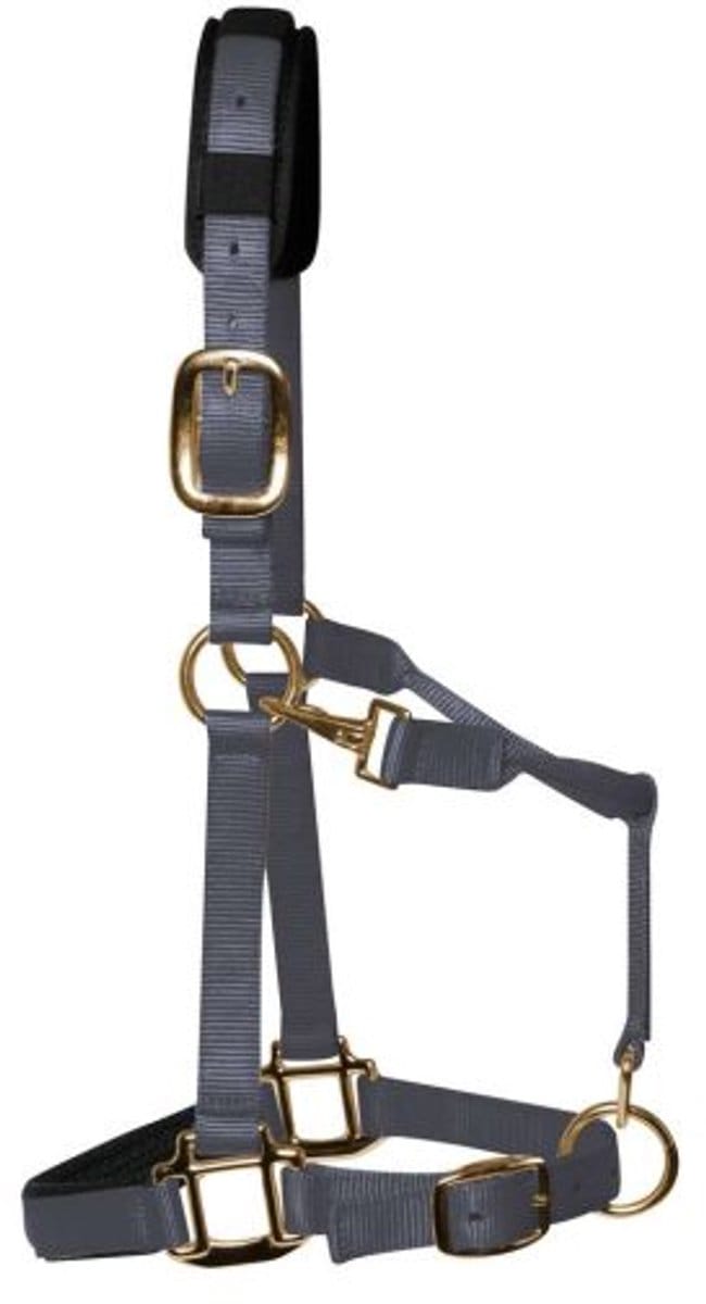 KM Elite - Luxe Gevoerde Halster – Grijs - Medium - Cob