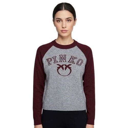 Trui Pinko 107326A3IO
