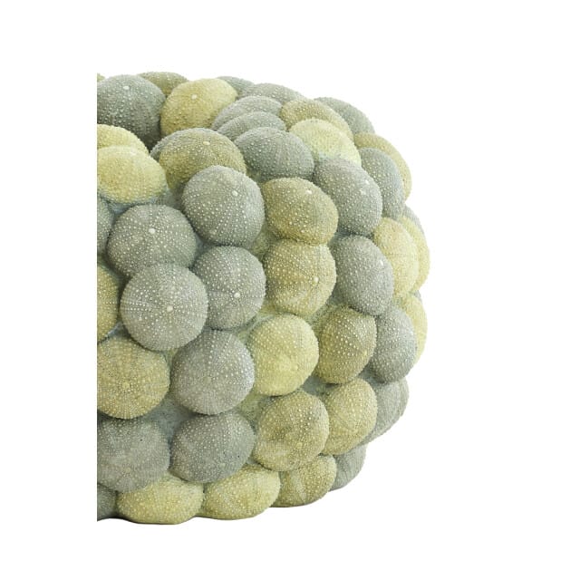 Light & Living - Vaas SEA URCHIN - Ø40x23.5cm - Groen