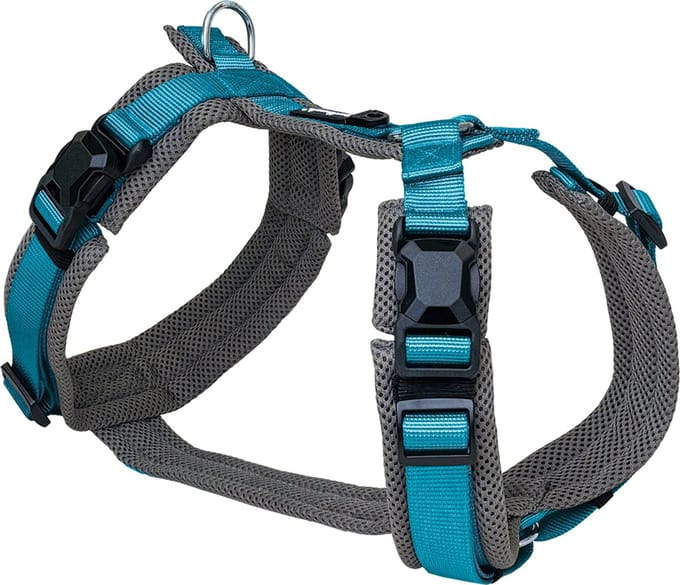 Petlando Magnetech Y-Hondentuig Comfort Antraciet/Petrol
