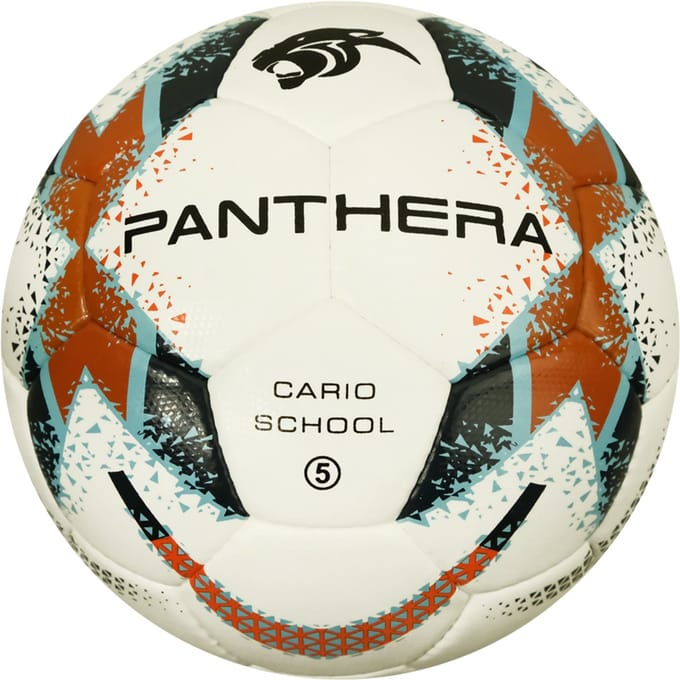 Panthera - Voetbal - Cario school - Maat 5 - Voetballen