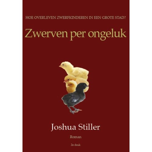Zwerven Per Ongeluk - Joshua Stiller