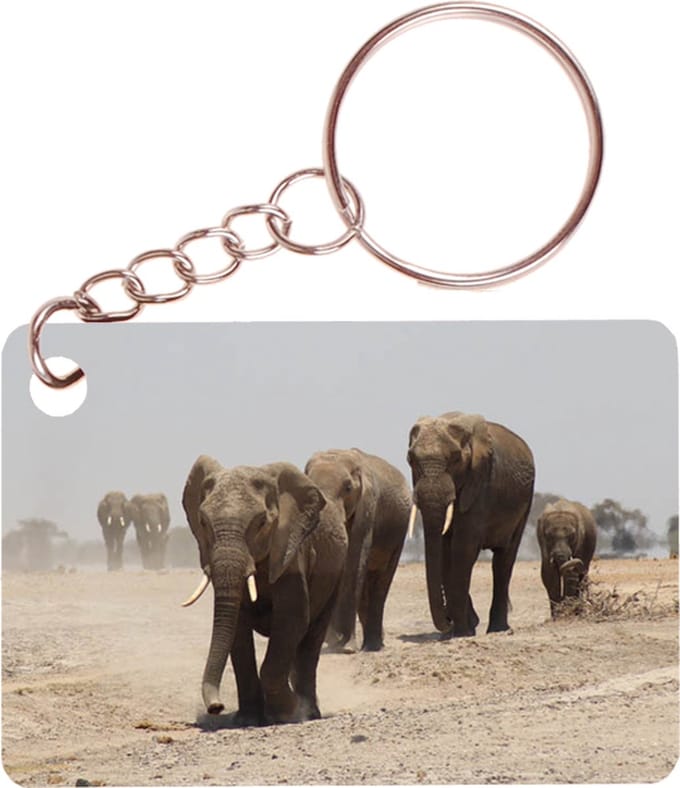 Sleutelhanger 6x4cm - Groep Olifanten - Savanne