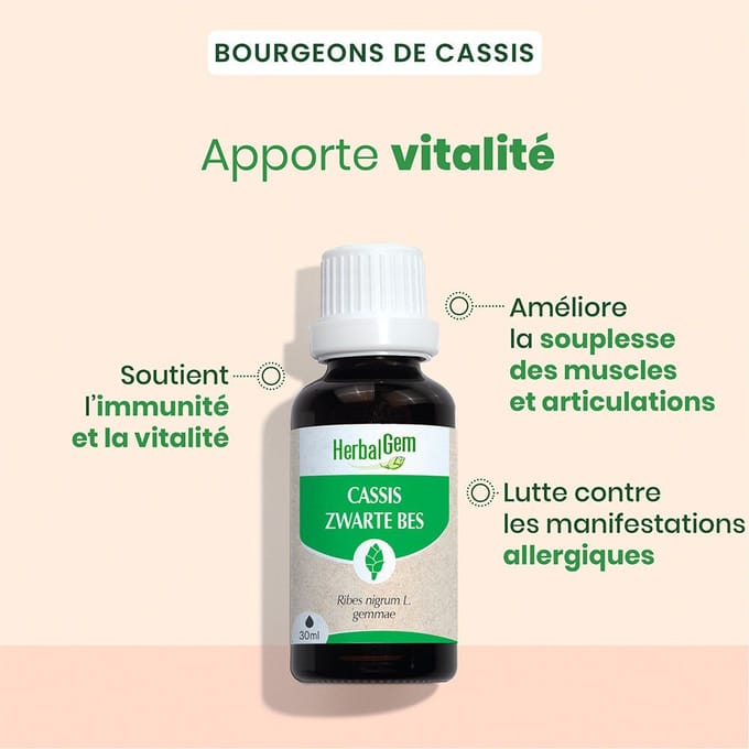 HerbalGem Zwarte Bes Bio | Gewrichten & Spieren 30 Druppels