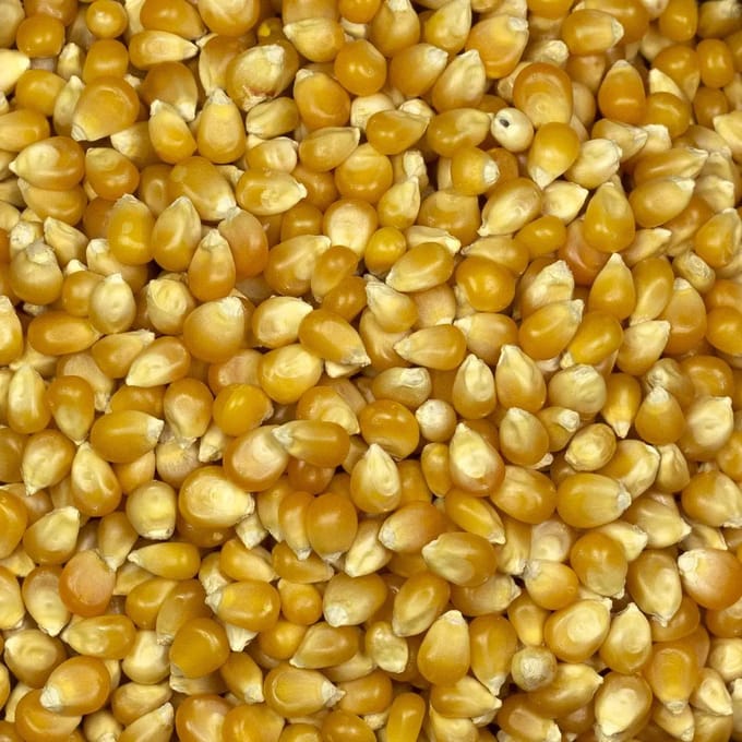 BRAT.pl – Popcorn Maïs – Natuurlijk – Knapperig – 1 kg