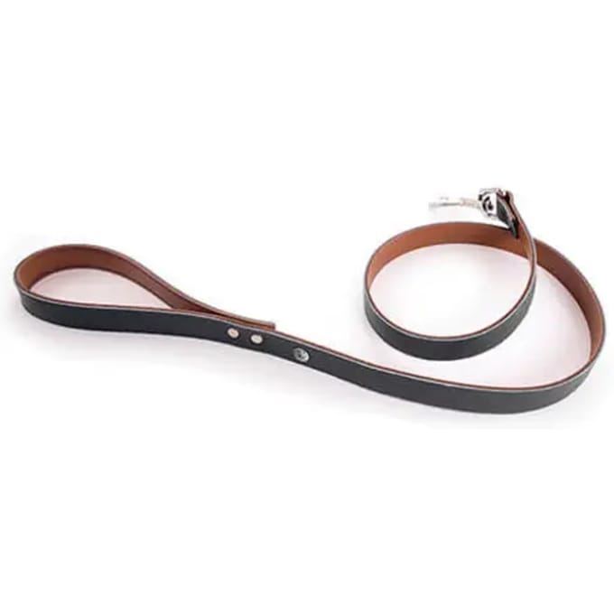 Hondenriem Martin Sellier Allure T100