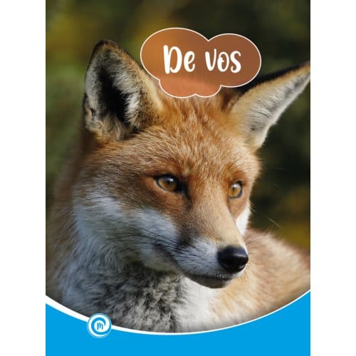 De Vos - Mini Informatie - Minke van Dam