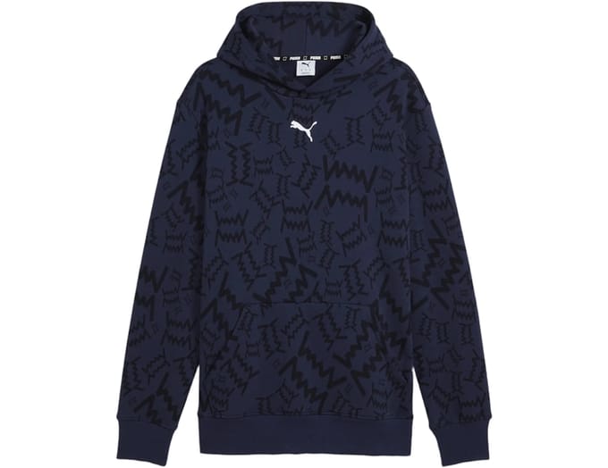Puma Teamjaws Post Game Hoody Blauw K04