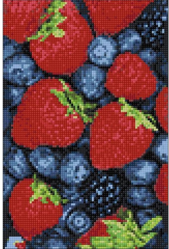 Wizardi Diamond Painting Kit Wildberries WD051