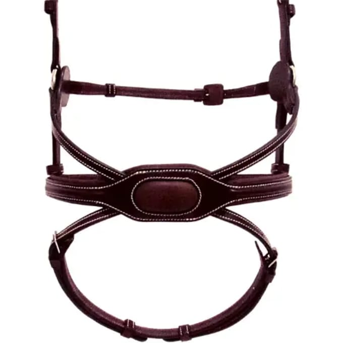 Paardenneusriem Silver Crown Spider