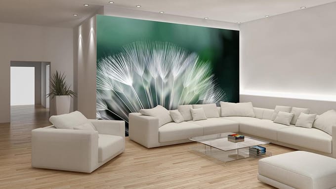 Dandelion Flower Nature Photo Wallcovering