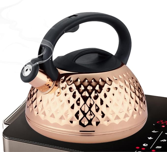 Fluitketel - Waterkoker - Water Koken - Snel Warmtegeleidend - 3 Liter Capaciteit