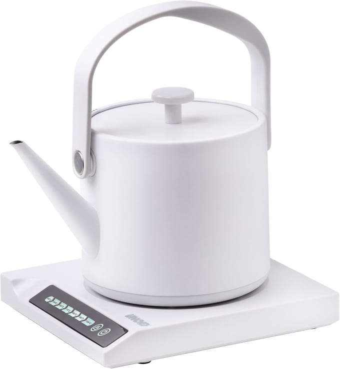 Rvs Waterkoker met Temperatuurinstelling en Warmhoudfunctie