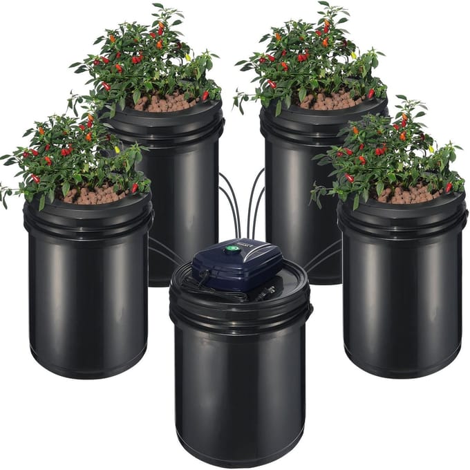 RDWC Hydroponisch Systeem Circulerende Diepwatercultuur 4 Bakken 5 Gallon