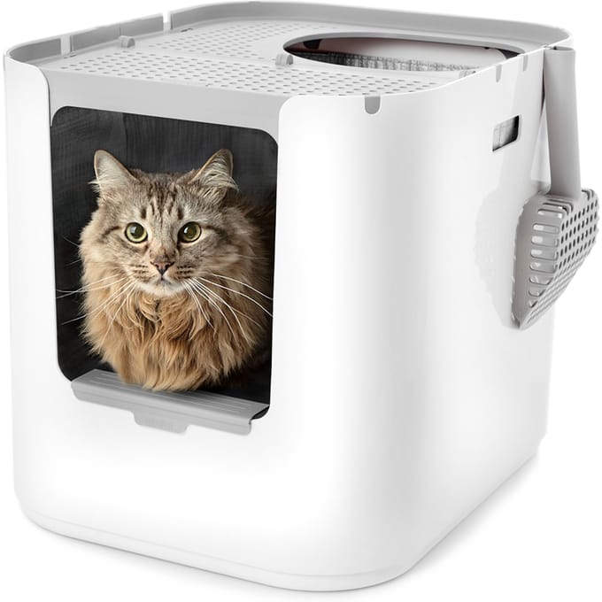 Modkat XL Kattenbak Wit L53 x B41 x H43 cm