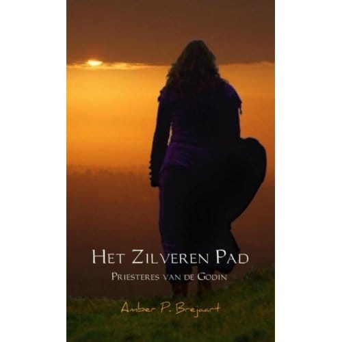Het Zilveren Pad - Amber P. Brejaart