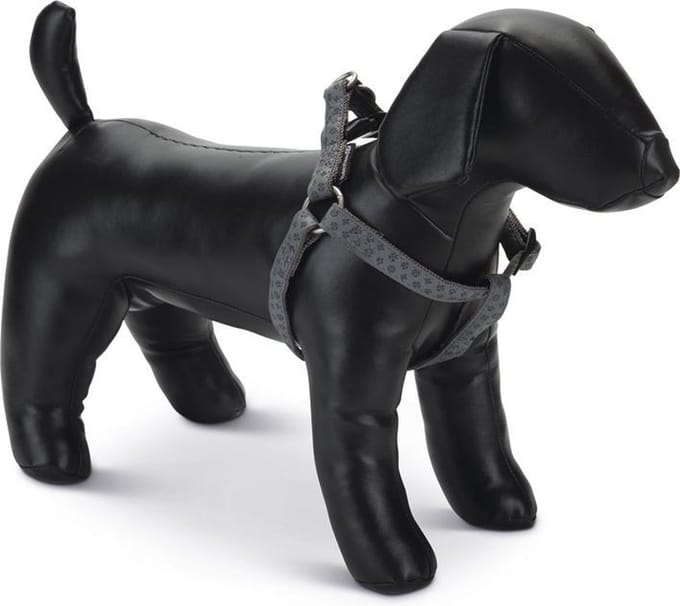 Beeztees - Hondentuig - Mac Leather - Grijs - 50-75 cm