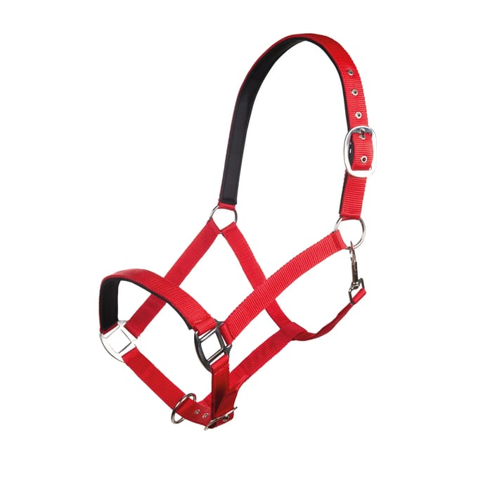 Nylon halster voor paard met zachte voering HKM Charming