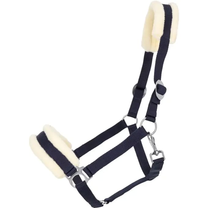 Halster voor paarden Q-essentials Cali