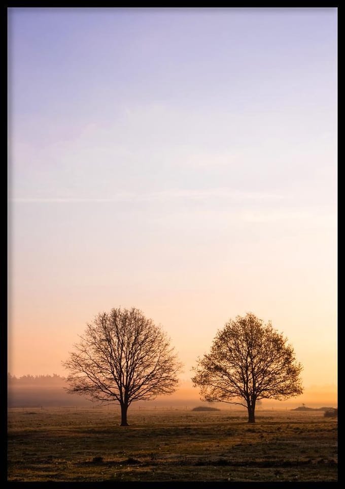 Poster Two Trees - 30x40 cm Met Fotolijst - Poster Natuur - WALLLL