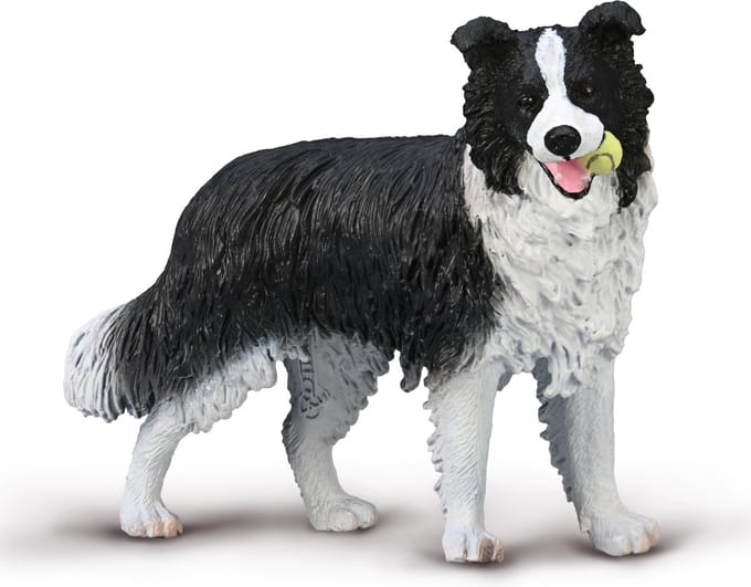 COLLECTA Figurine - Border Collie - (L) - Honden - Handgeschilderd - Miniatuur