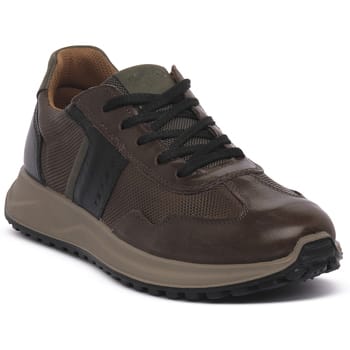 Lage Sneakers IgI&amp;CO SARONNO CAFFE