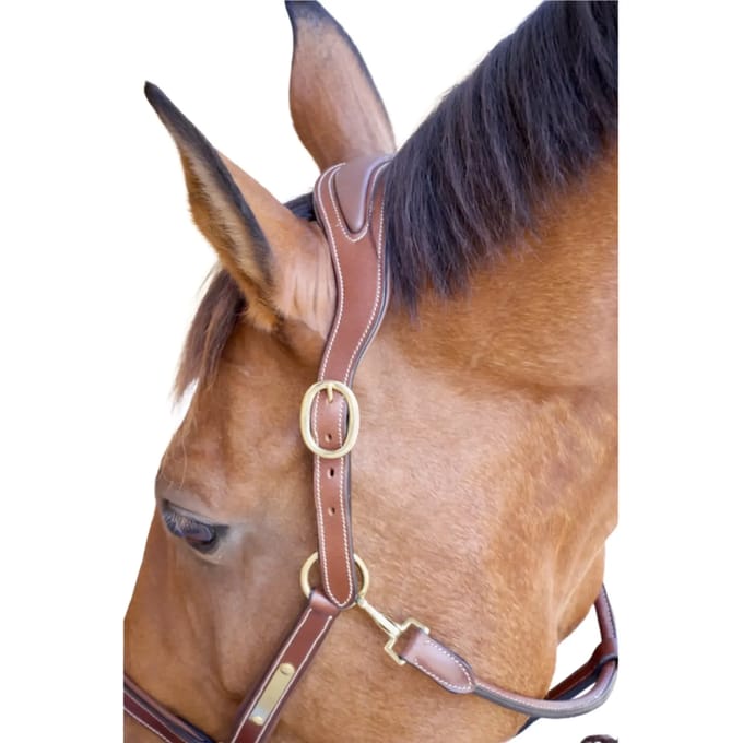Paardenhalster met plaat T de T