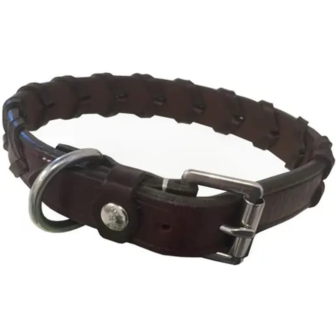 Hondenhalsband Silver Crown Bredie