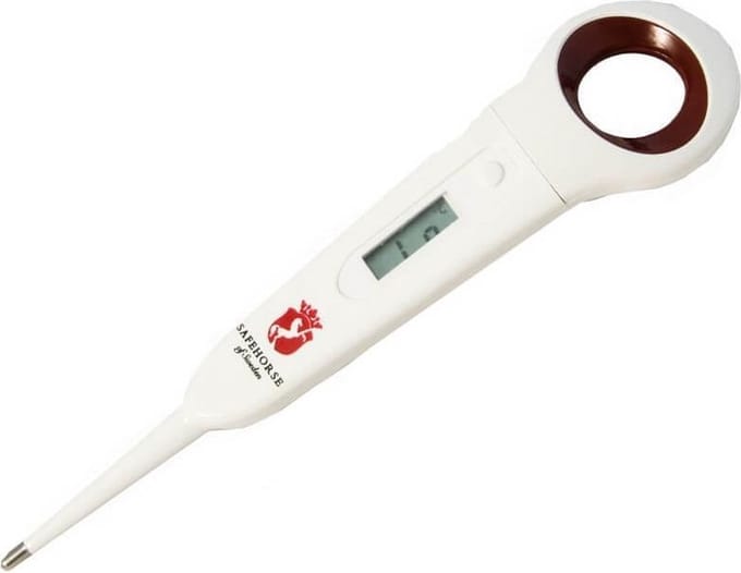 paarden Horse thermometer