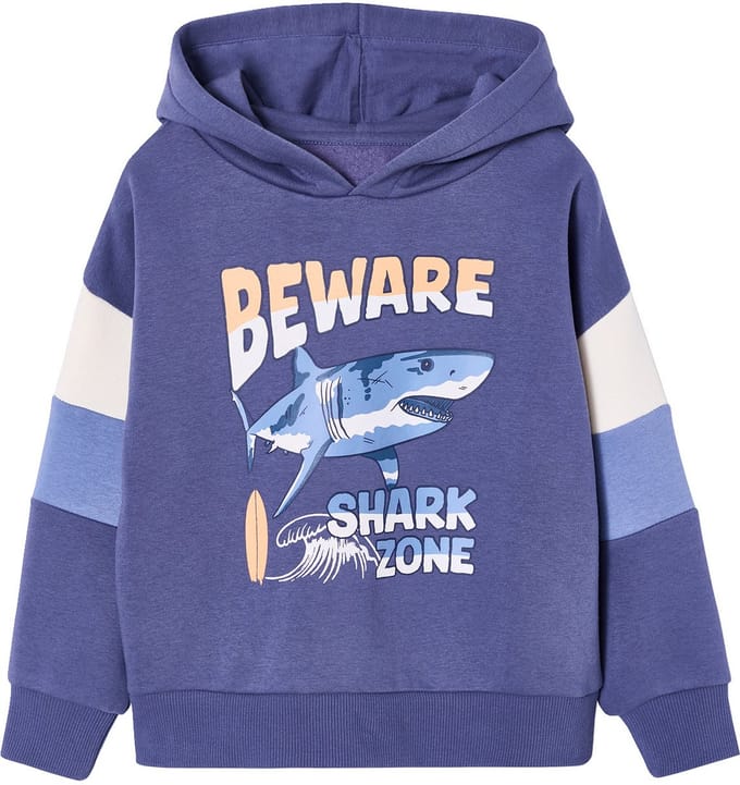 Vertbaudet Sweater met capuchon met print