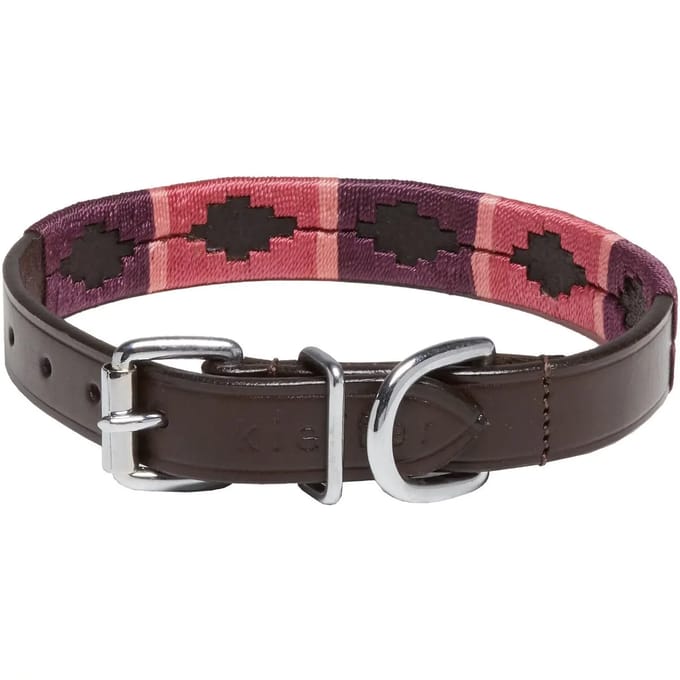 Hondenhalsband Kieffer Buenos Aires With Chrome Fittings