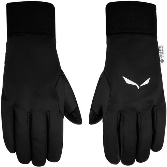 Bergschoenen Salewa Sesvenna Windstopper Grip
