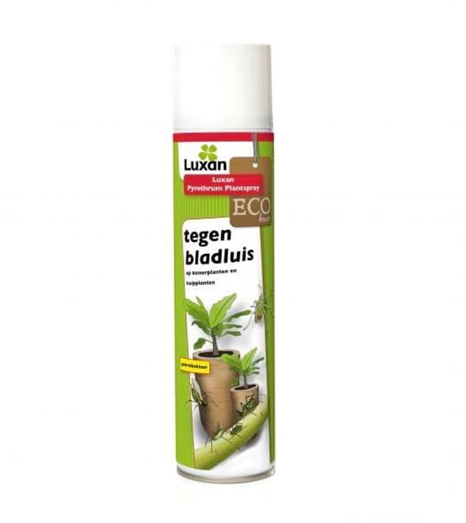 Luxan Pyrethrum Plantspray tegen bladluis (400 ml) - Krachtige Insectenspray