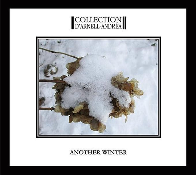 Another Winter (Digi)
