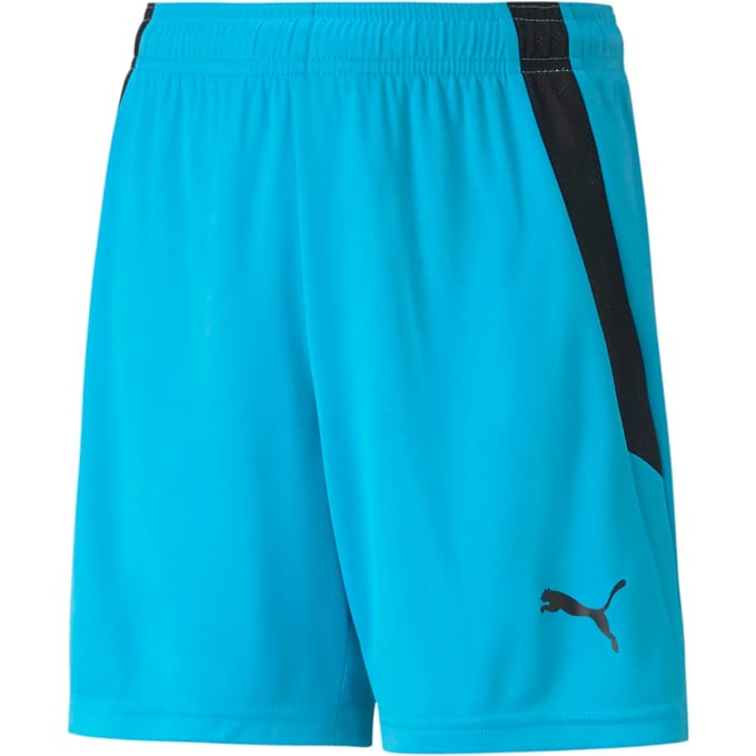 Kinder shorts Puma Team Liga