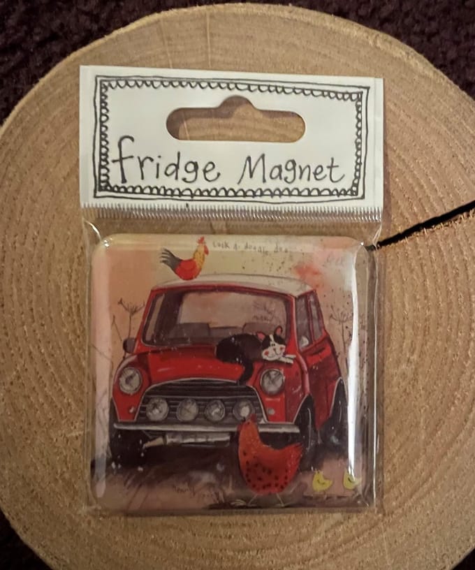 Alex Clark Mini Fridge Magnet ~ Koelkast magneet auto Mini