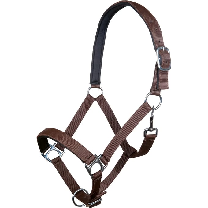Halster voor paarden HKM Stars