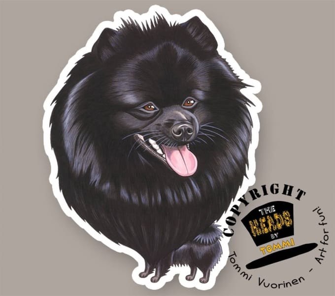 Magneet Hond Mittelspitz