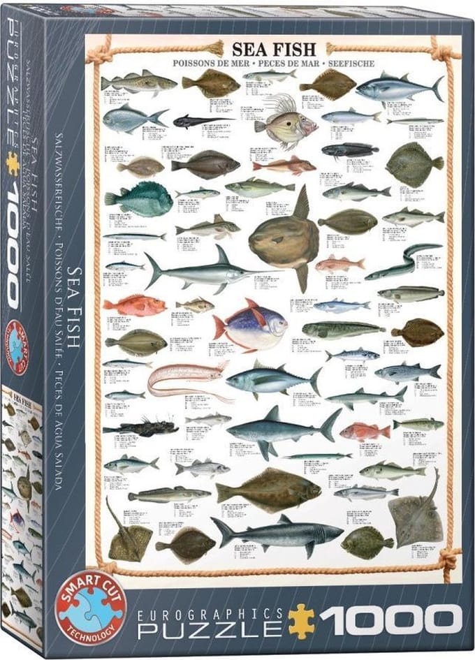 Eurographics puzzel zeevissen 1000 stukjes dieren karton.